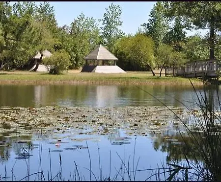 Apartment 260 Waterfront With Garden Hourtin