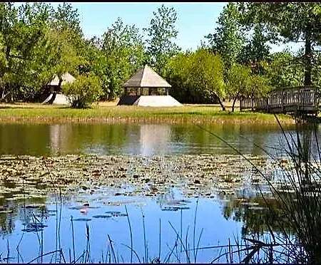 260 Waterfront With Garden *