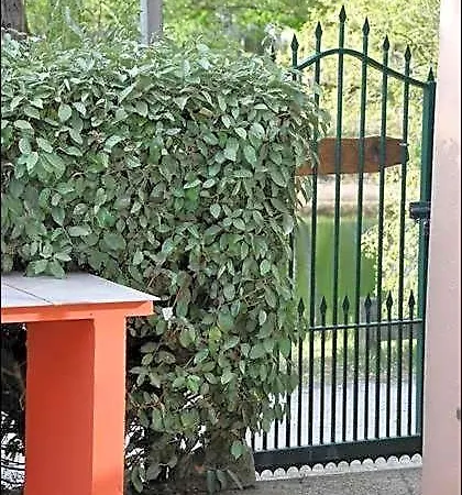 260 Waterfront With Garden * オータン